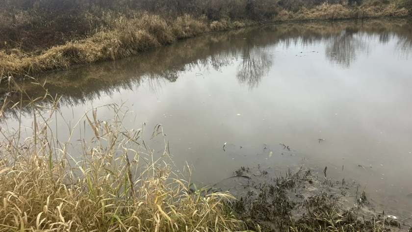    Фото: Следком Владимирской области