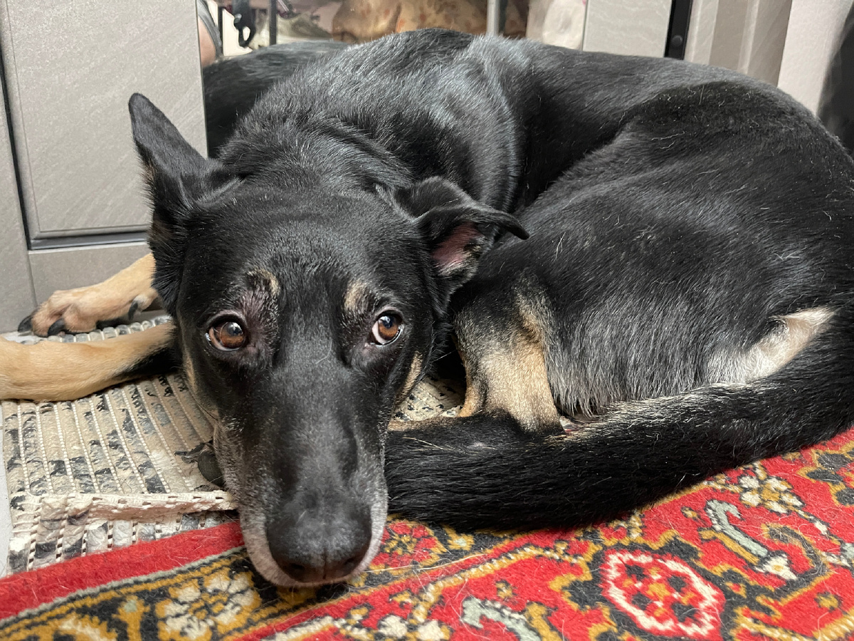 Но... История эта, конечно, не очень веселая...