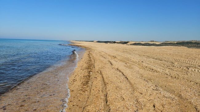 пляж после уборки нефтепродуктов