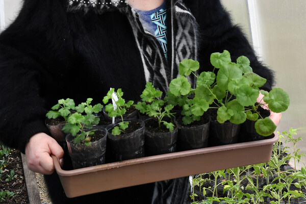 Виталий Аньков/РИА Новости   📷