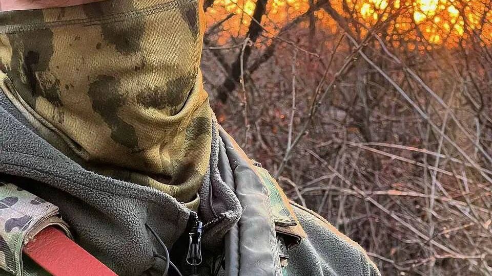 Стая журавлей сегодня улетела без меня