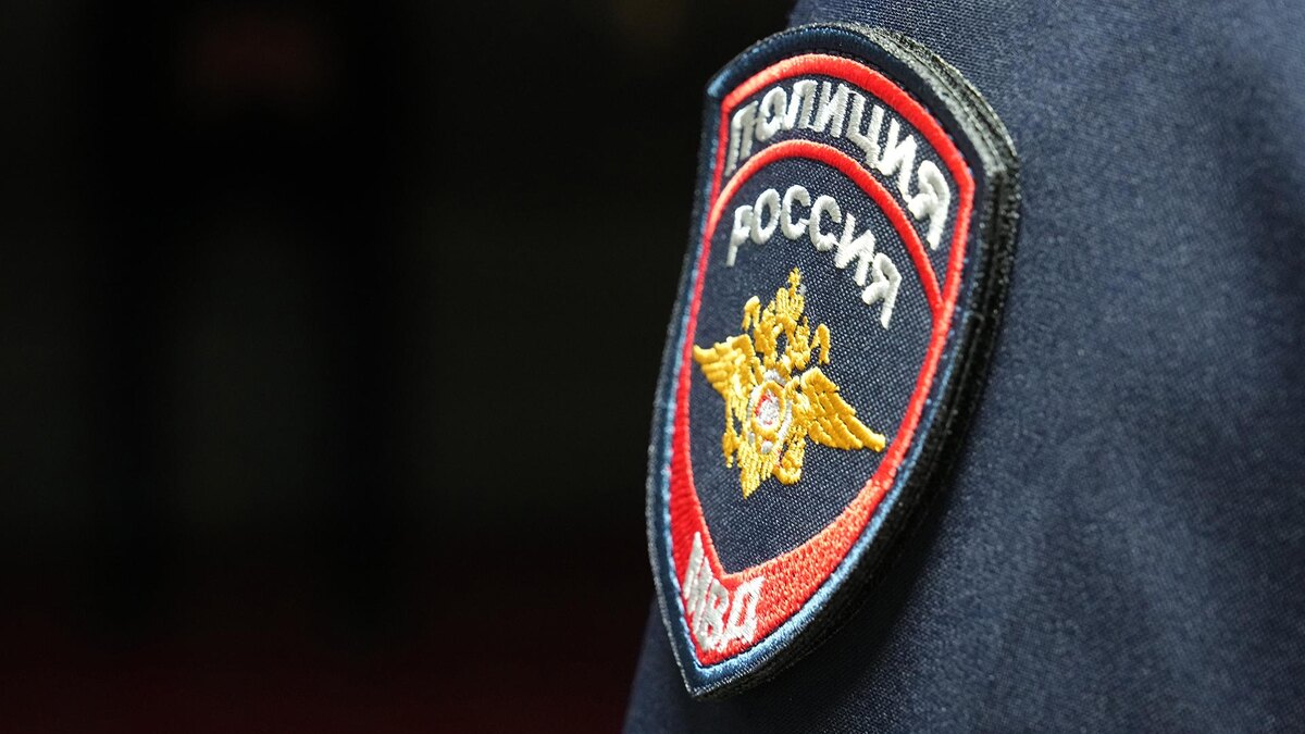    Фото: ИЗВЕСТИЯ/Эдуард Корниенко