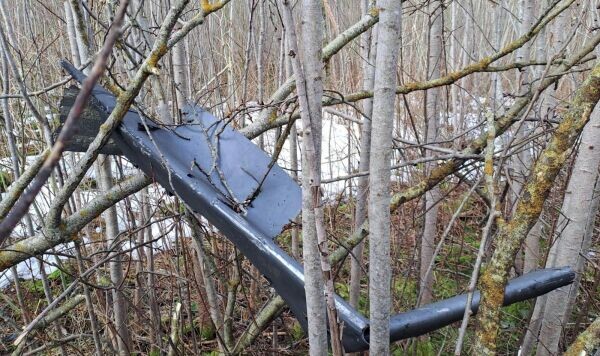 Latvijas armija / Соцсети