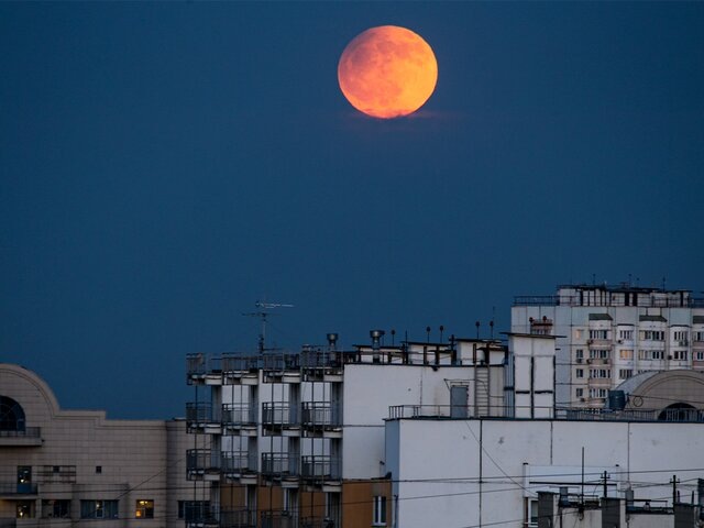    Фото: Москва 24/Лидия Широнина​