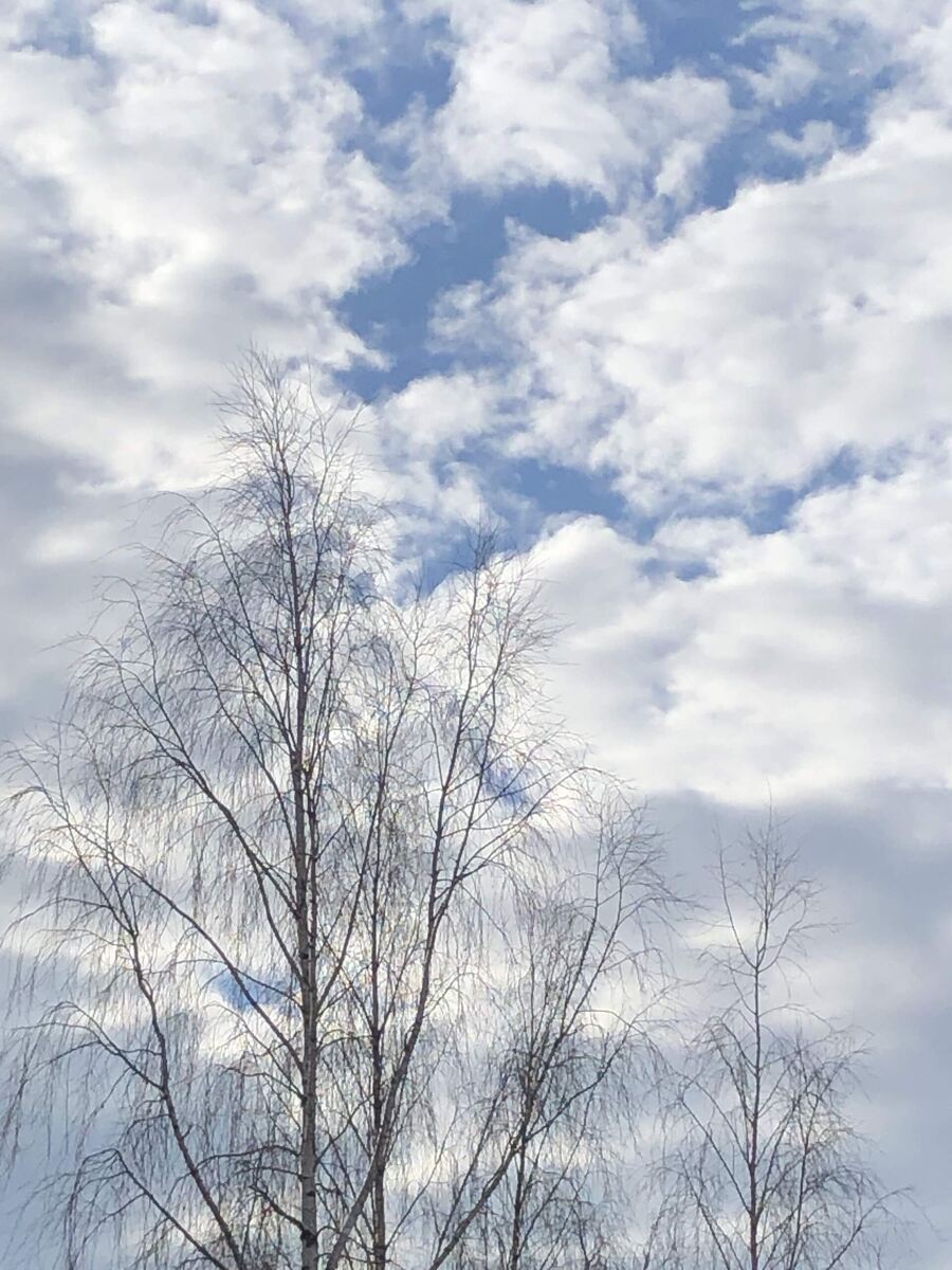 Утренние облака.