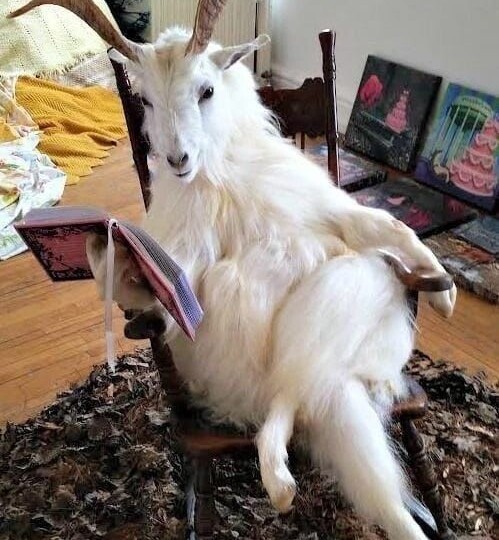 Купи козла!..