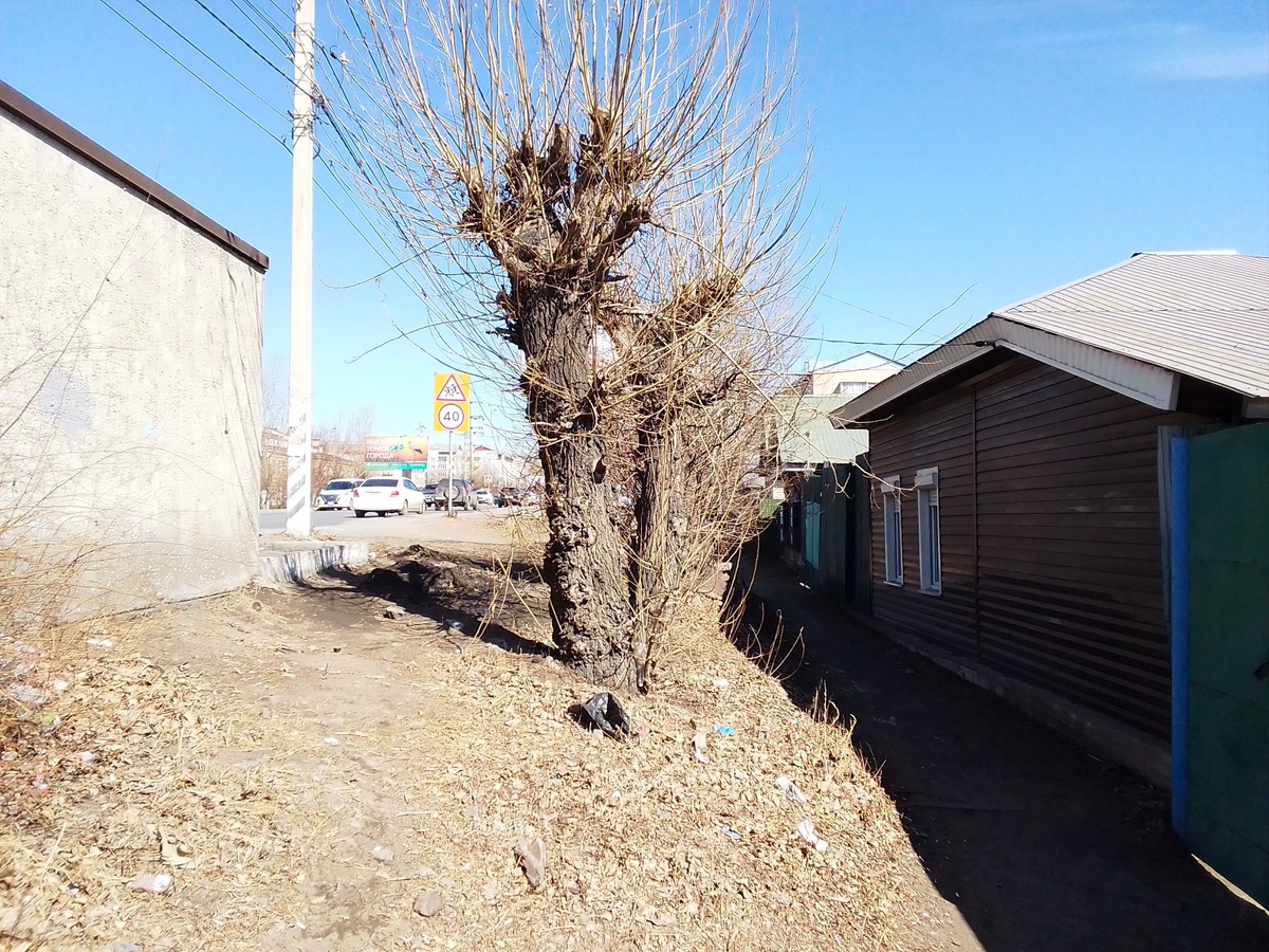 фото Пановой Е.В. дома по ул Ярославского в овраге, ниже дороги у моста реки Ингоды