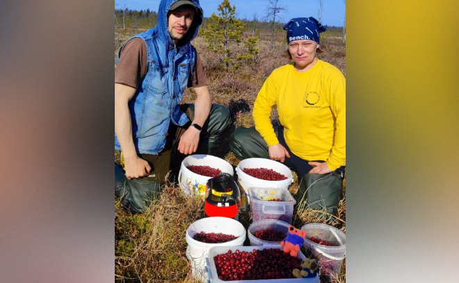    © Святослав Каменский / https://vk.com/id184125522 / https://vk.com/grib_spb?w=wall-1391819_897747