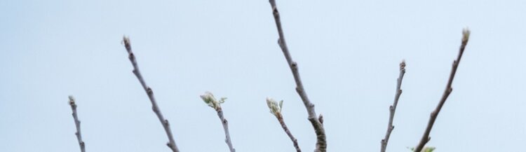   Фото: Медведева Анна, AgroXXI.ru
