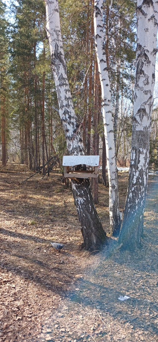 "Доброе утро, мир! Ты прекрасен!" Фото автора