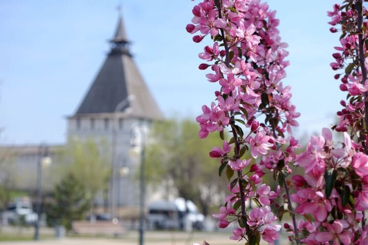 Какой будет погода на Пасху в Астраханской области