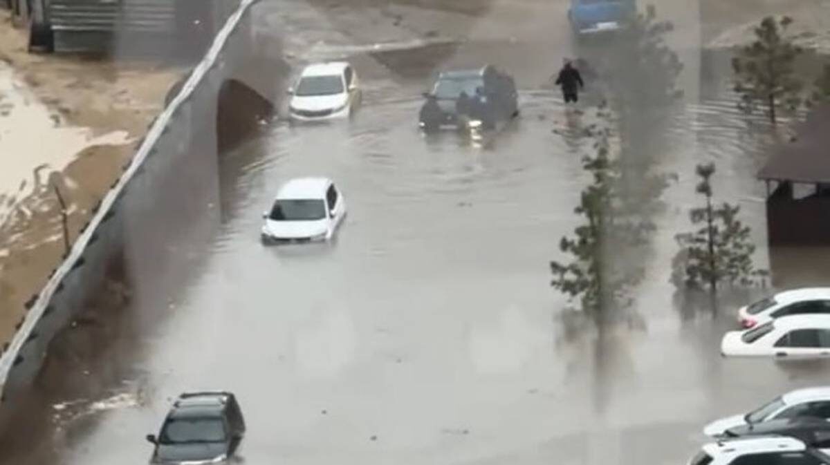    Фото: скриншот / Mash / Telegram