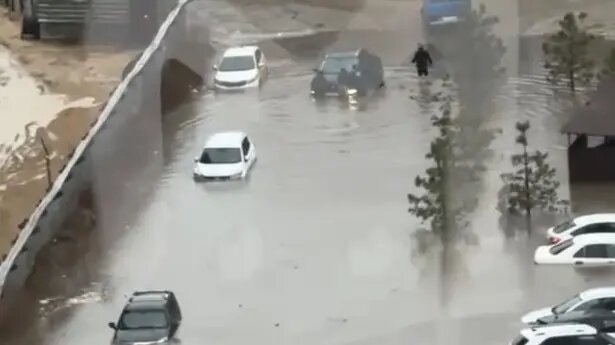    Источник: vm.ru/ Евгений Агапов