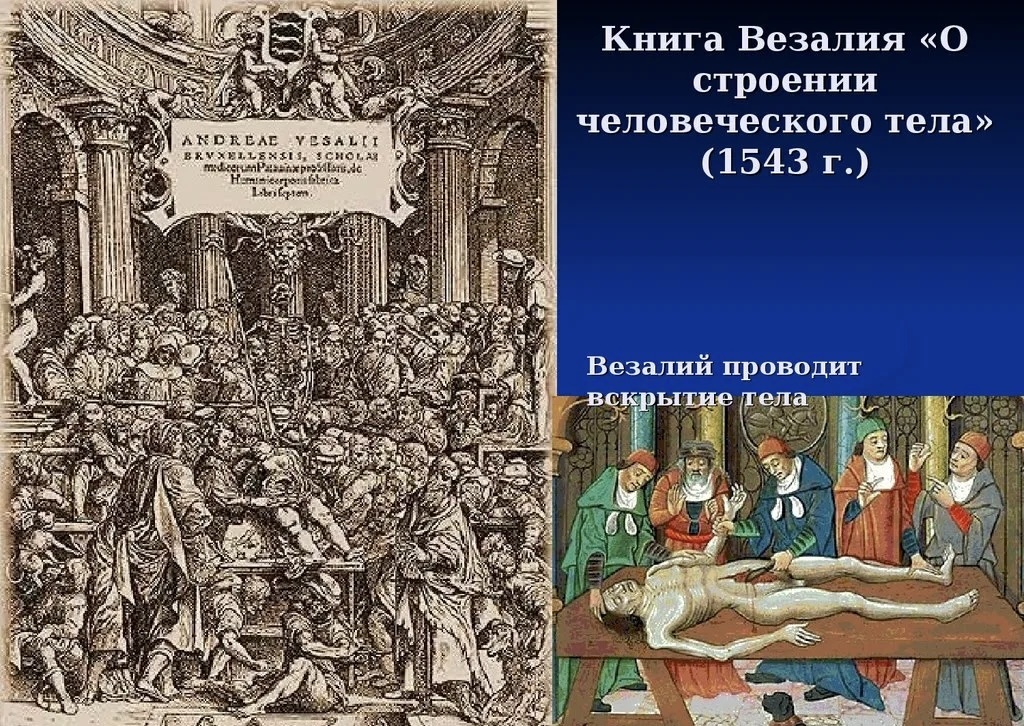 Рис. 1. Андрей Визалий обложка книги «О строении человеческого тела»
