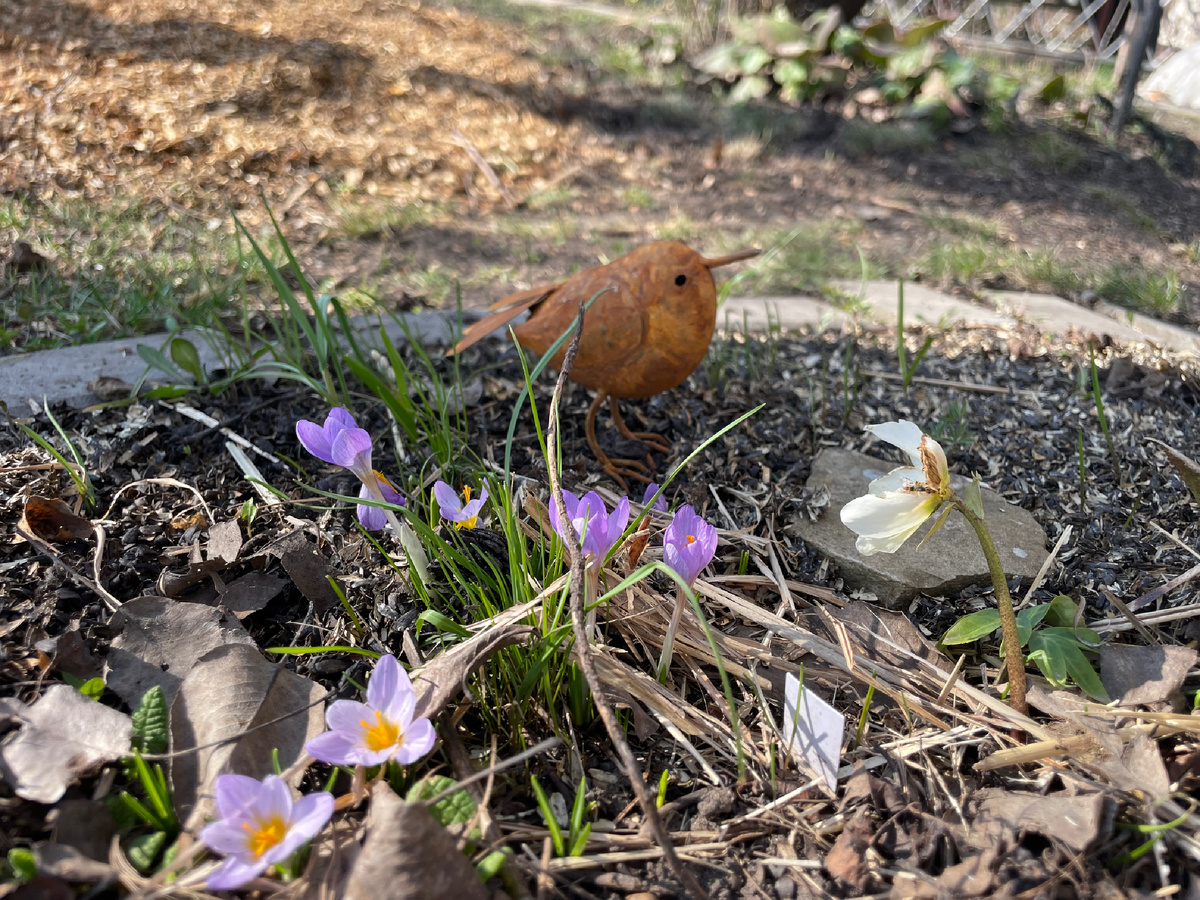 Что-то мне подсказывает, что младший помощник его присвоит