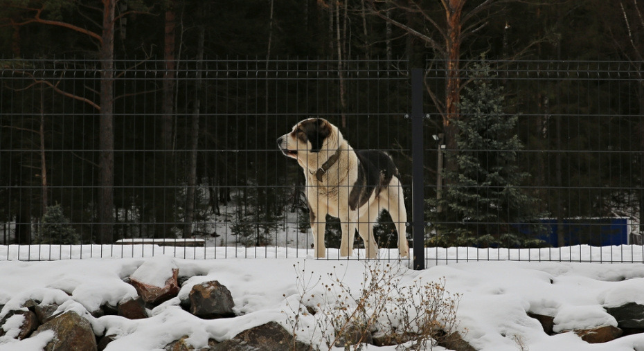    Shutterstock/FOTODOM