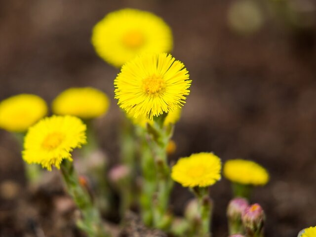    Фото: Москва 24/Лидия Широнина