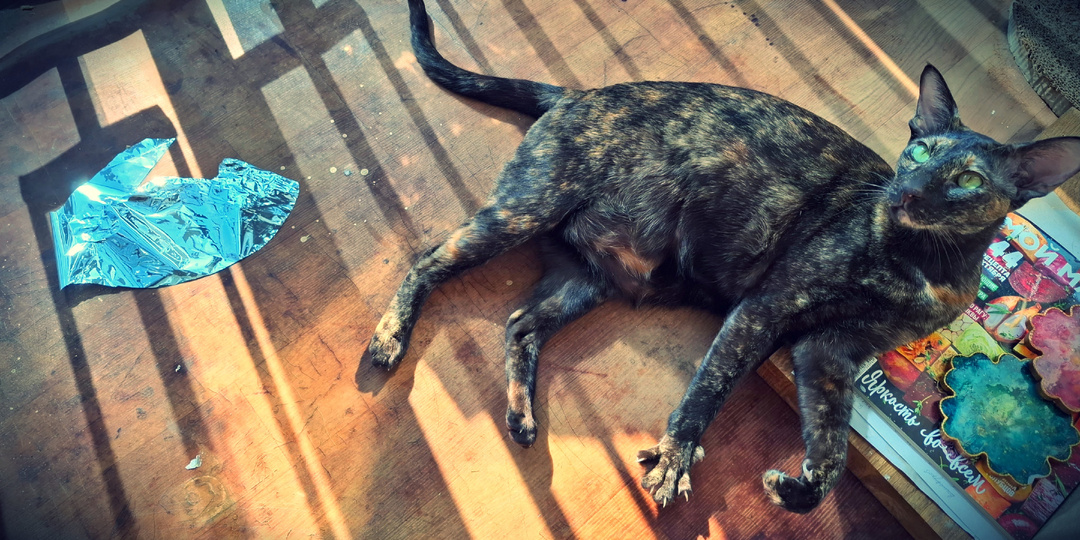 Самоуправляющийся дом