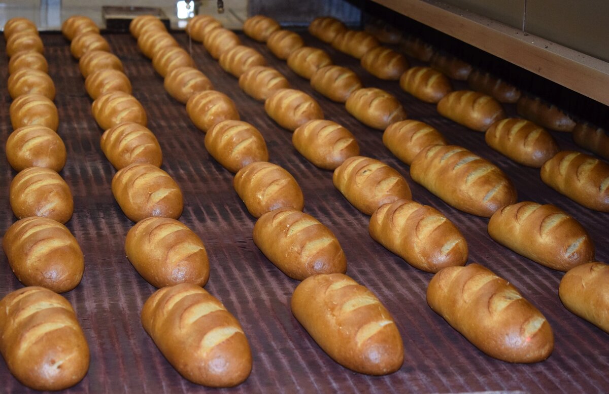 Новые правила выпечки для белого хлеба: что ждёт покупателей после обновления ГОСТа