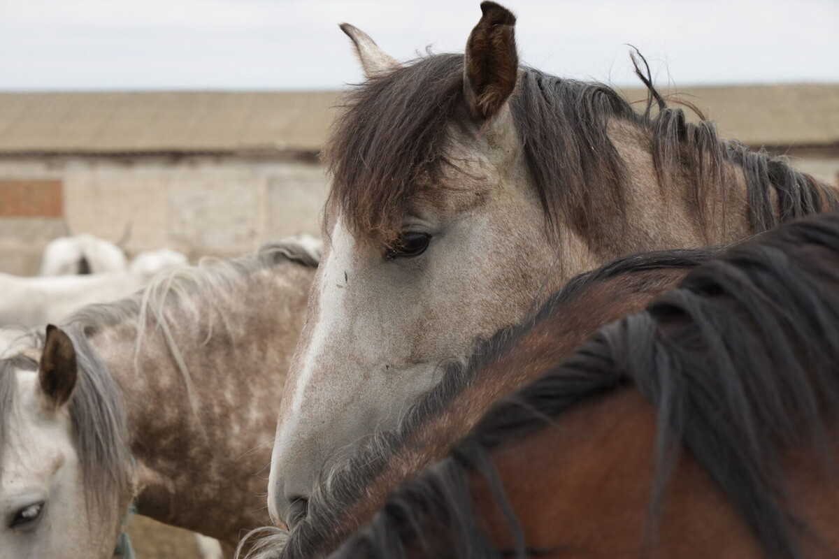    Фото: ТРК «Таврия»