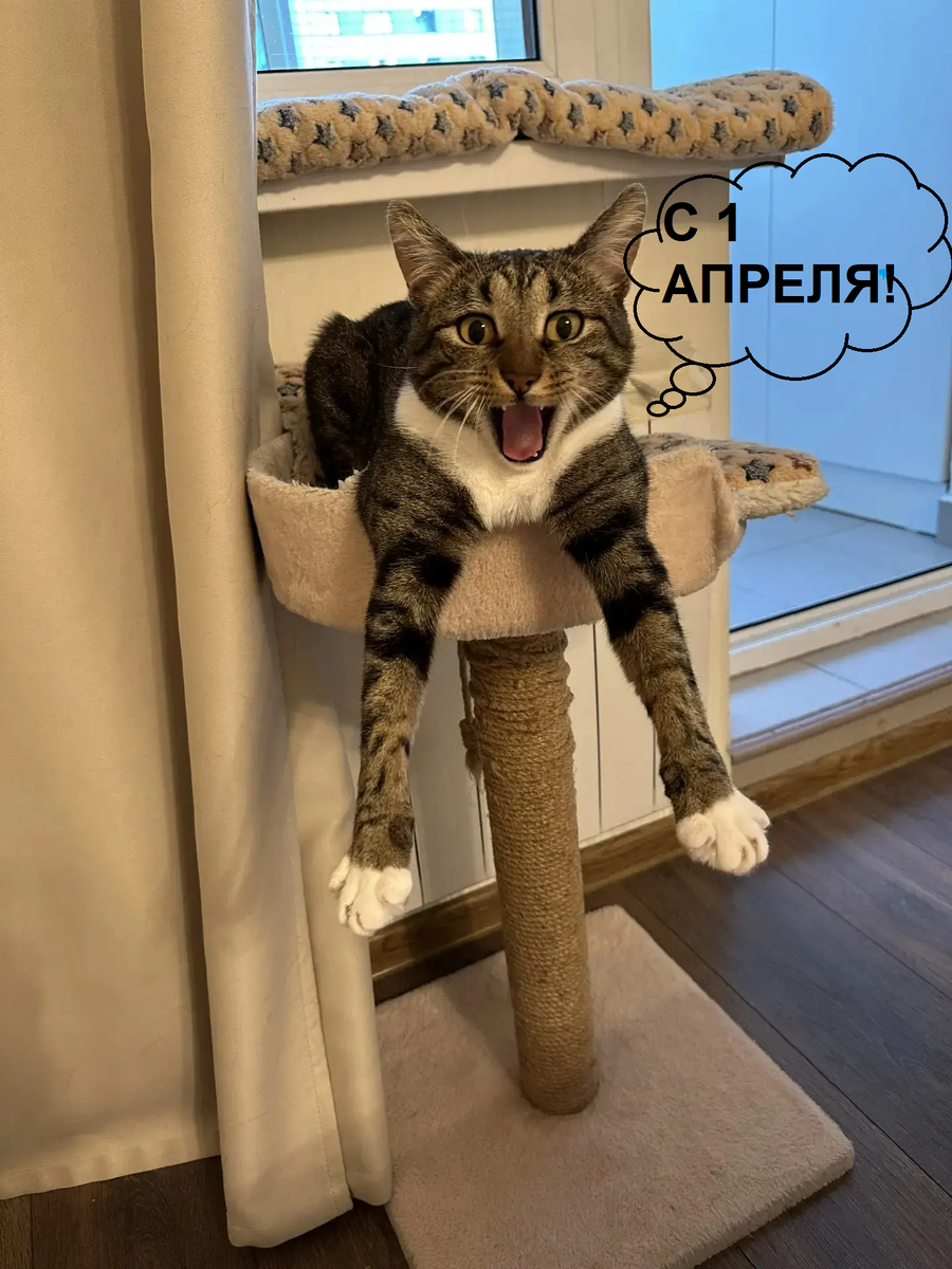 источник Яндекс-картинки