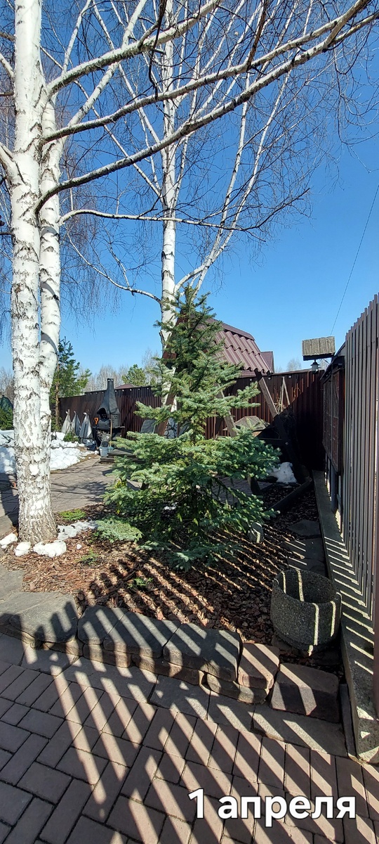 Здесь снег сошёл поностью.