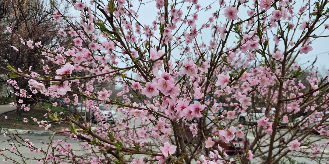 📸 Новая концепция ванной комнаты и свежие фото ЖК Зеленая территория (г. Краснодар).