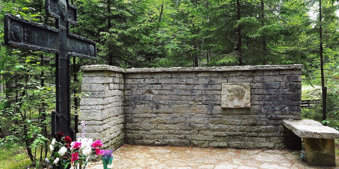 Свидетель Поэт Анна