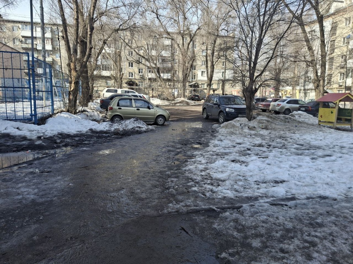 Фото: Саратовское «Яблоко»