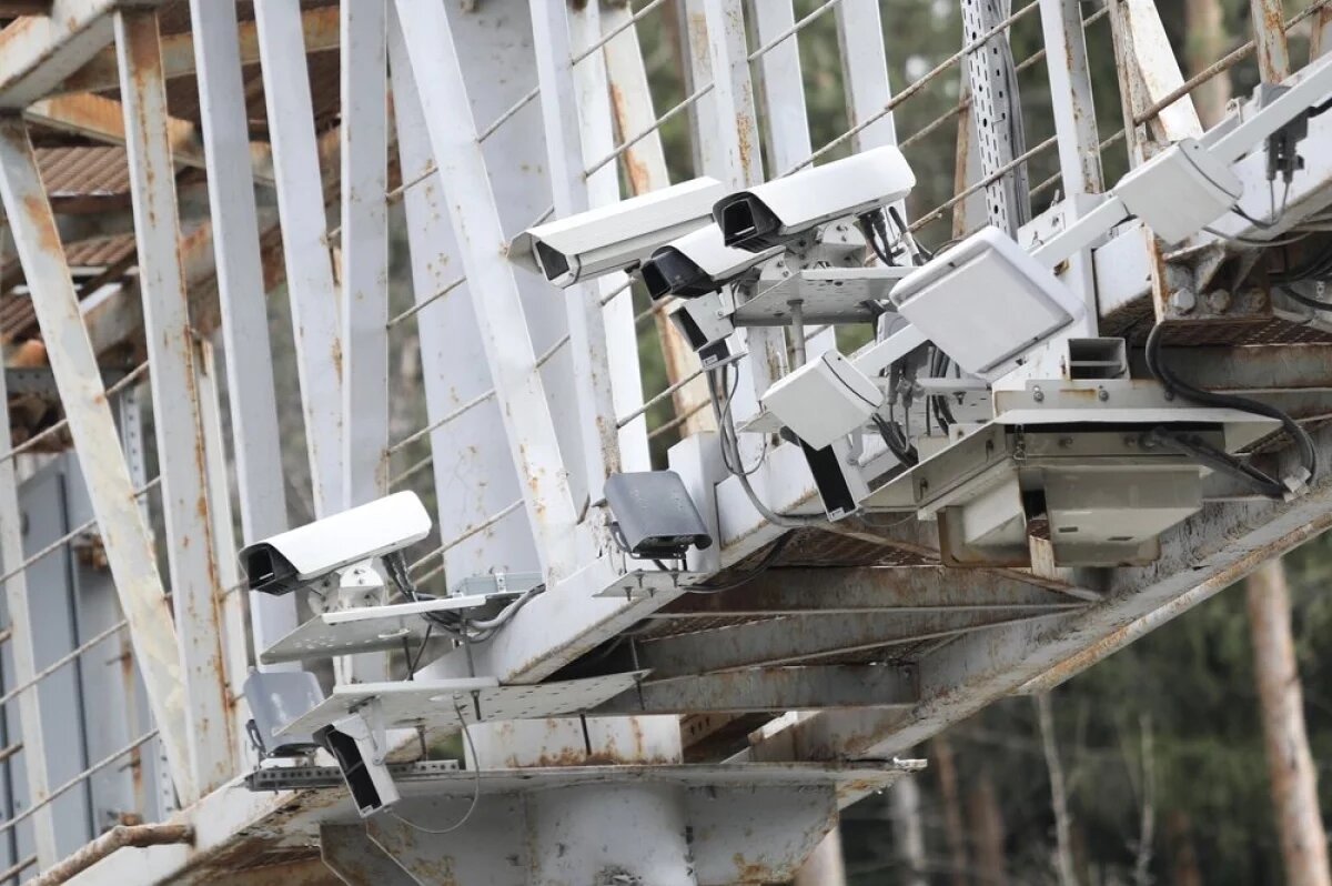    Искусственный интеллект безошибочно вычисляет лихачей.