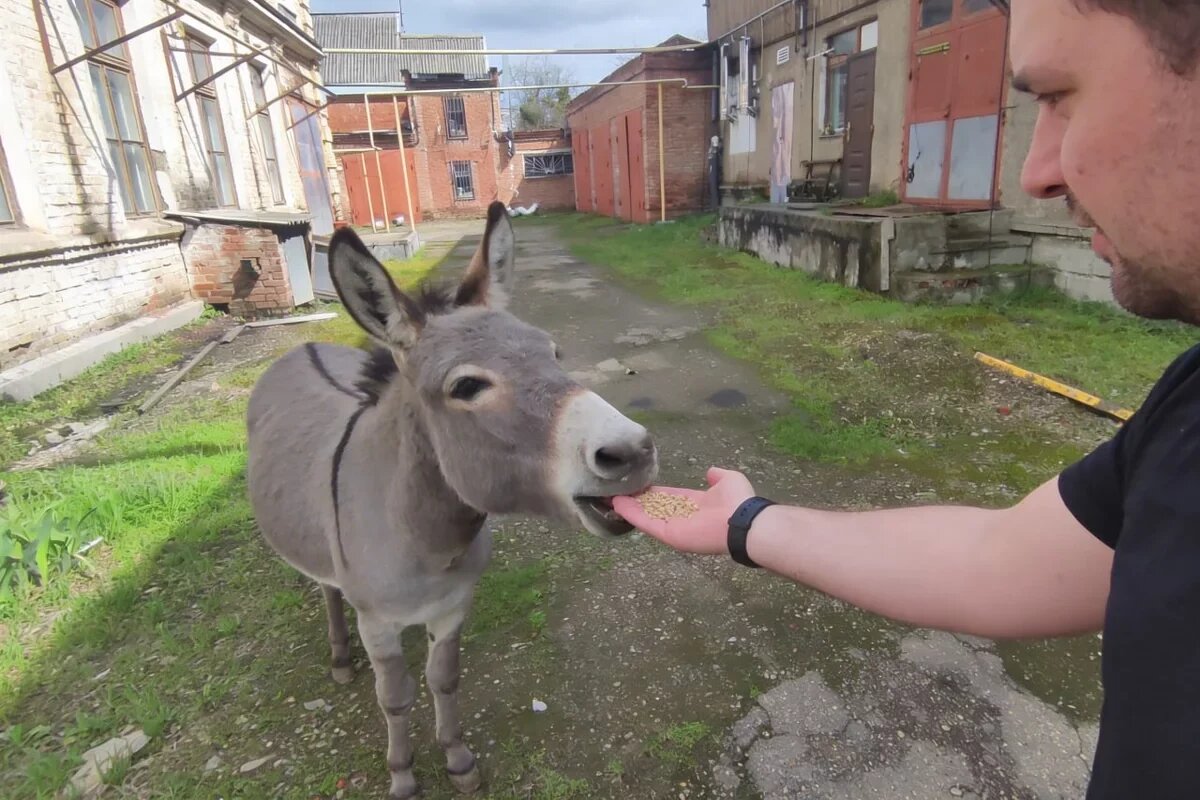    Фото газеты «Огни Кубани»