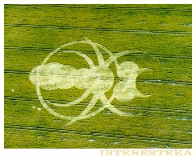 1994.07.07. Великобритания, Уилтшир, Барбери-Касл.