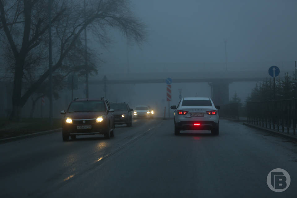   Фото: Данил Савченко / "Городские вести"