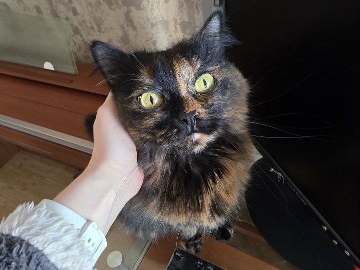 Самый главный вредитель