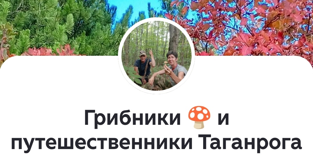 Два года на Дзене: как все начиналось и что получилось