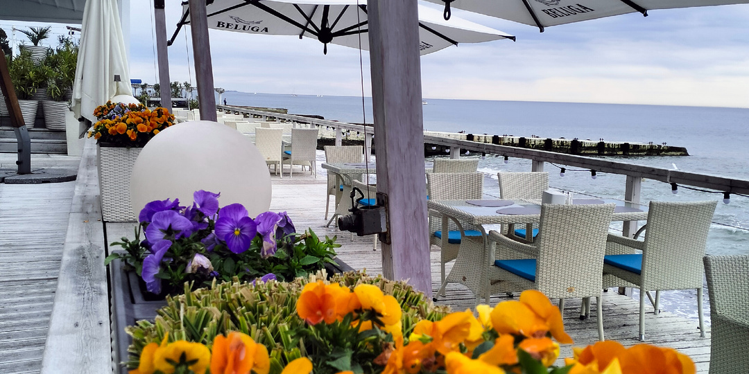 Сочи в начале апреля. Моя идеальная прогулка от морпорта до цирка