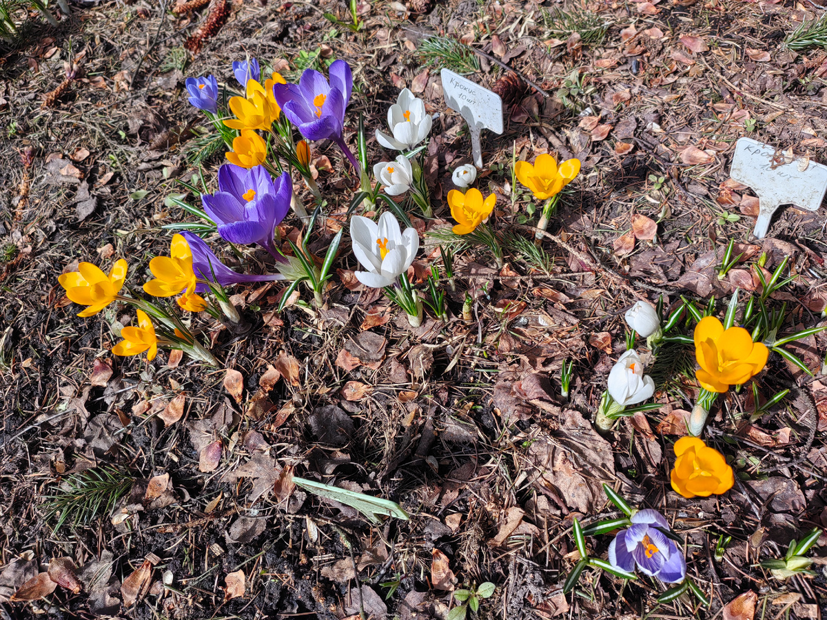 Все фотографии, как обычно, авторские.