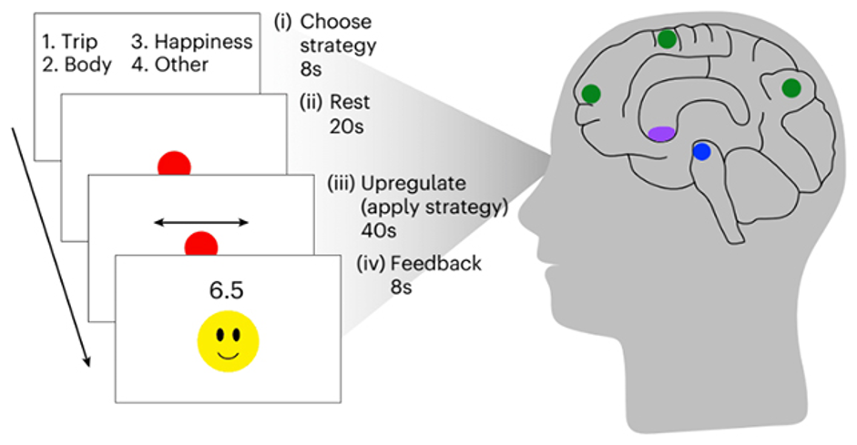 Позитивный настрой усилил иммунный ответ