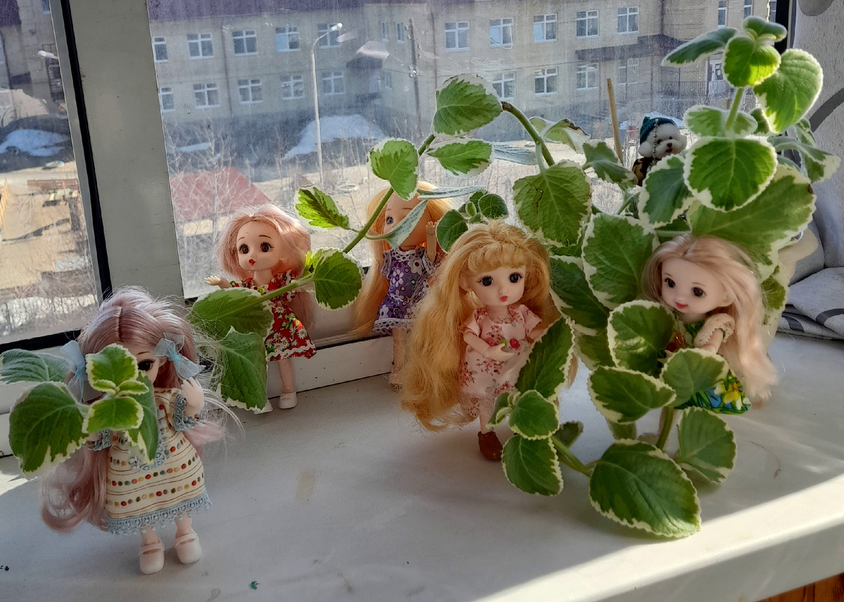 Фото автора канала