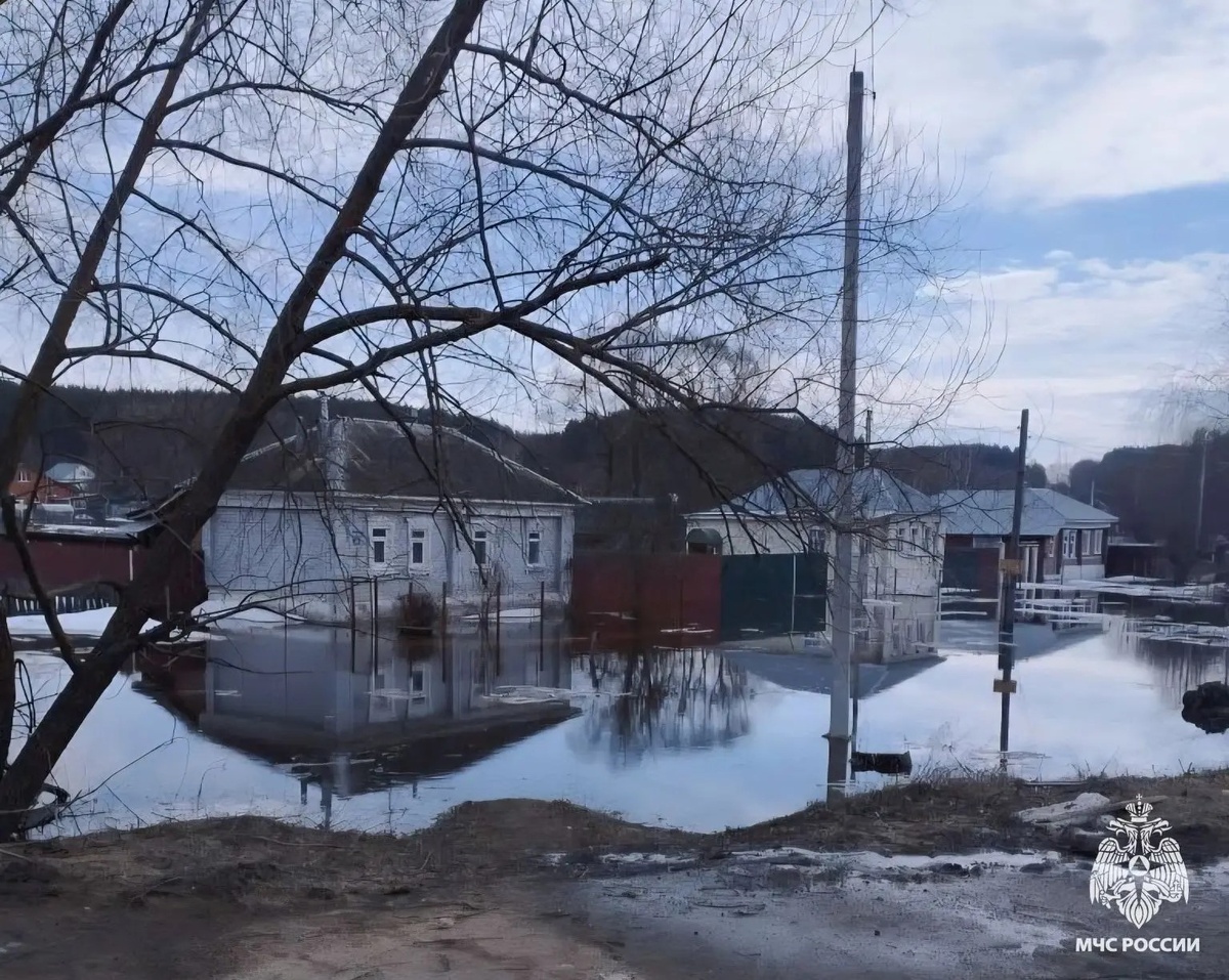    Фото: МЧС России по Рязанской области