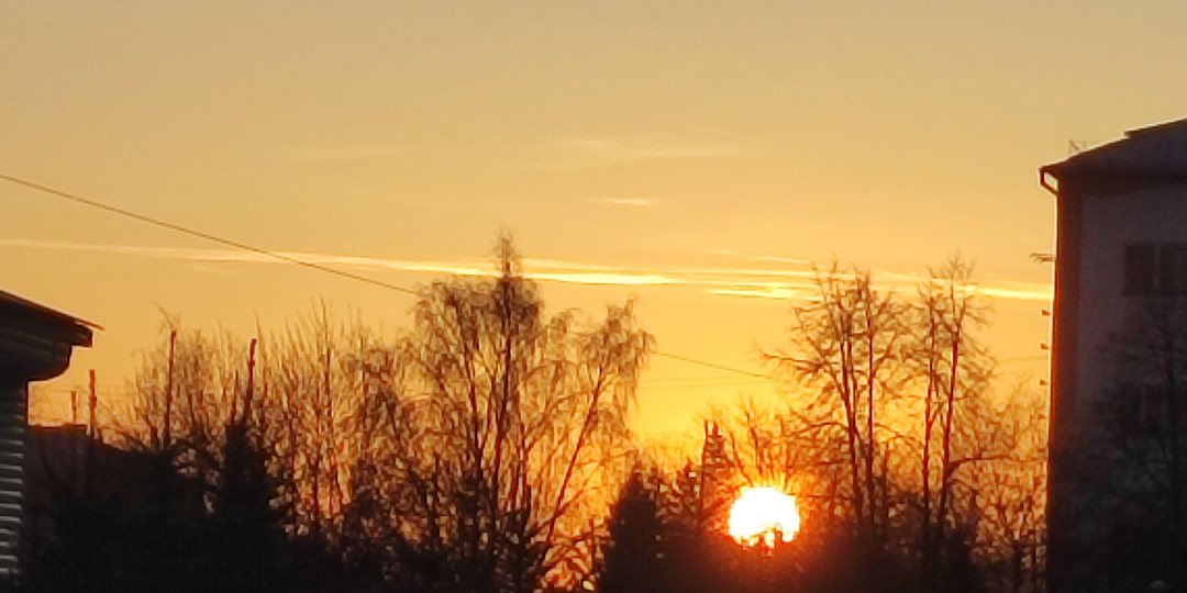 Первые всходы! Комплимент с утра!Вопросы от подписчиков. День заканчивается красивым закатом!