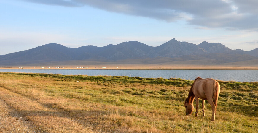    До сих пор точно неясно, от каких кыргызских слов произошло название водоёма. Одна из версий гласит, что оно переводится как «последнее озеро». Вторая — «озеро, в котором обитают дикие утки».