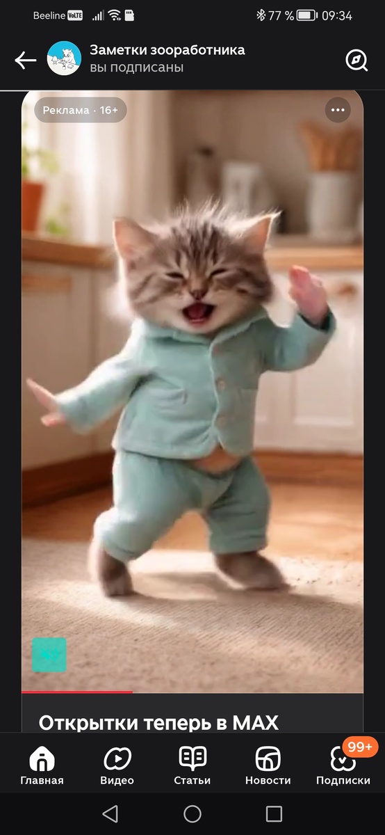 Этот котенок тоже моя копия. Когда я в хорошем настроении. Можете смеяться - увидела эту рекламу открыток и пропала 😂. Когда натыкаюсь именно на эту рекламу открыток, понимаю - хочу такие же. Смотрю именно этого котёнка по сто раз. Хочу утром посылать дочке таких котят. Старость накрыла, наверное 🤔 Но не судьба, по ссылке невозможно перейти. 