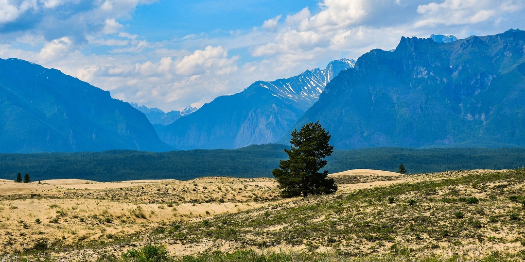 Чарские пески: пустыня, которая заблудилась в Сибири