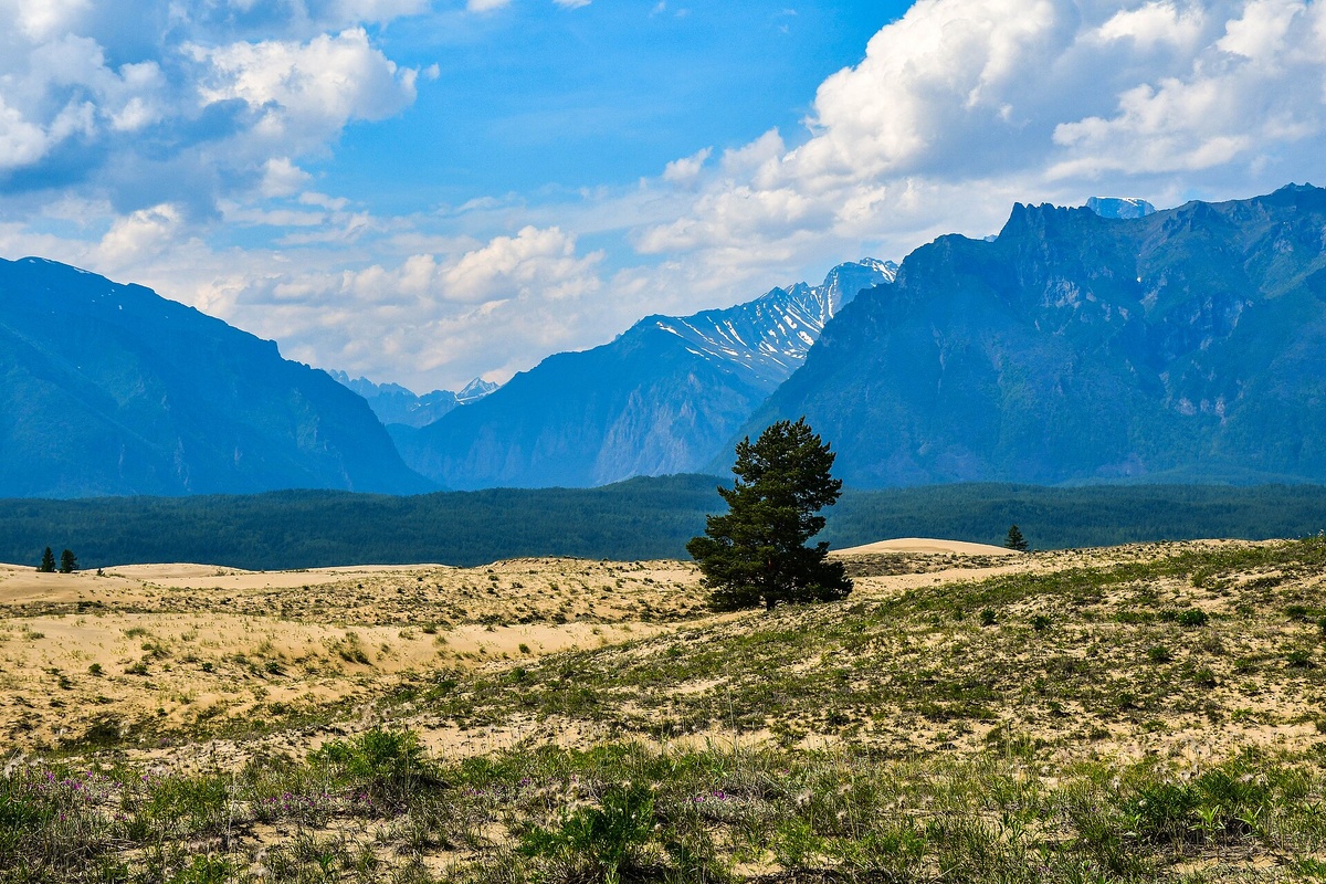 Урочище Чарские пески. Автор: Катаугги. Лицензия: CC BY-SA 4.0. «Пустыня, горы, тайга и вечная мерзлота в одном кадре. Такого нет больше нигде в мире».