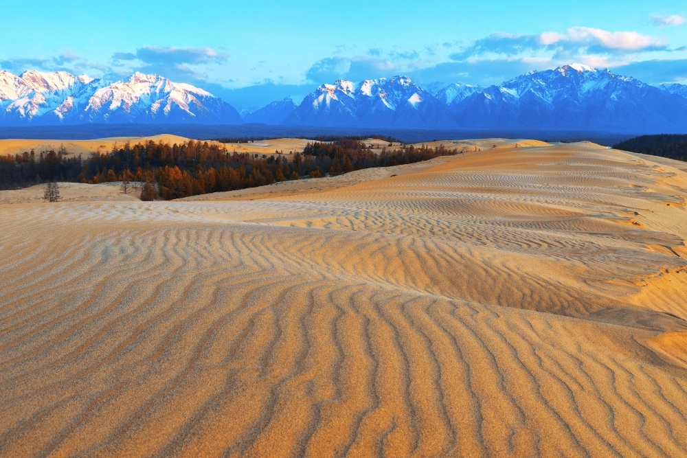 «Пустыня площадью 35 квадратных километров посреди леса. С высоты это выглядит как сбой в матрице». Общественное достояние.
