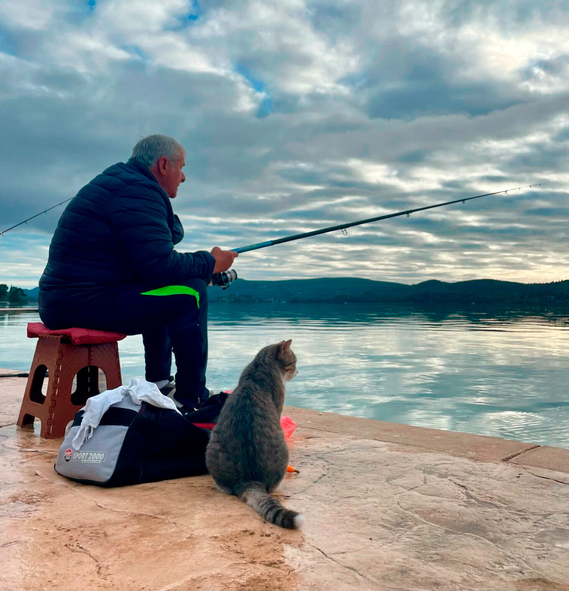 Утром на набережной рядом с рыбаками дежурят уличные коты в надежде на завтрак. Фото: Елизавета Бебех