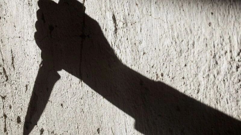    Фото: rootstock/Shutterstock/Fotodom