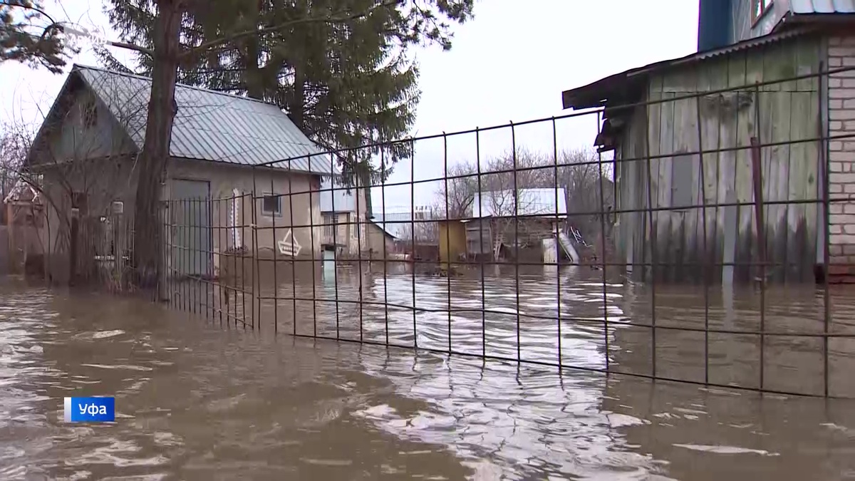    Паводок набирает силу: в Уфе в зоне подтопления десятки садовых участков