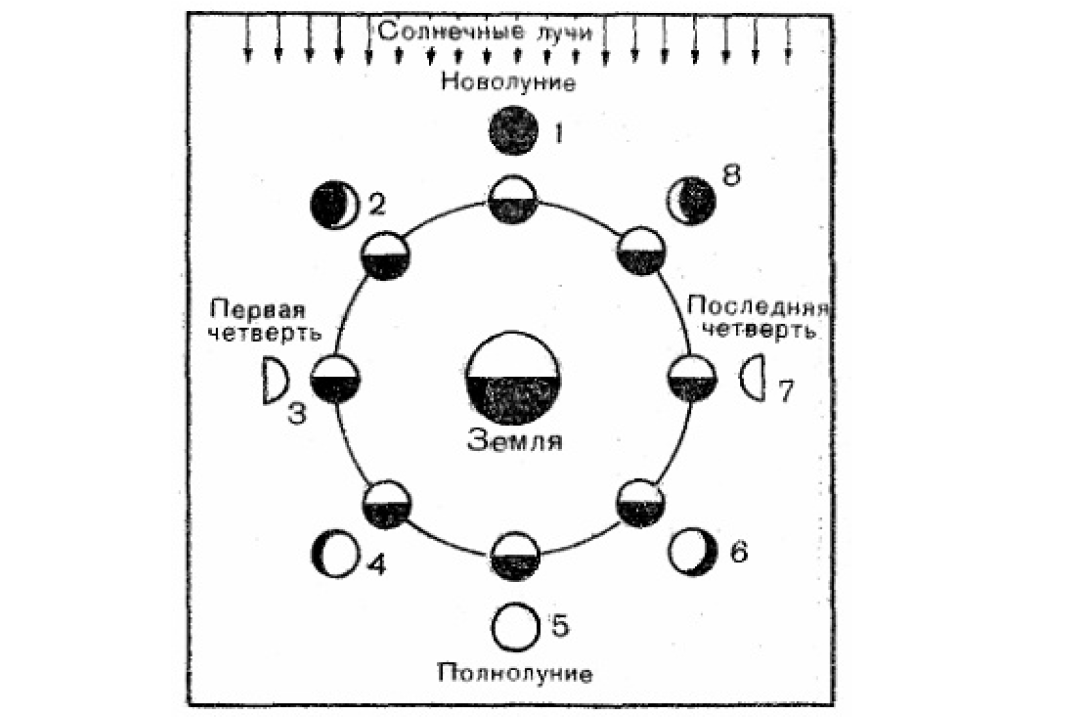    Meteoweb.ru